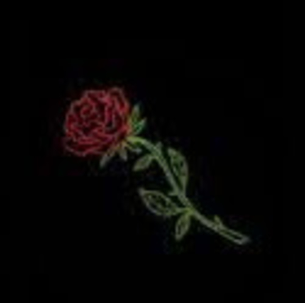 Meet your Posher, Braden